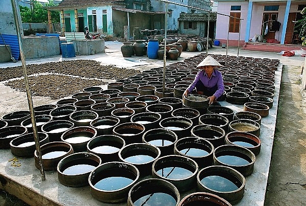 khong chi co nghe nau pho tru danh nam dinh con co rat nhieu nganh nghe noi tieng ca nuoc