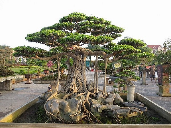 khong chi co nghe nau pho tru danh nam dinh con co rat nhieu nganh nghe noi tieng ca nuoc