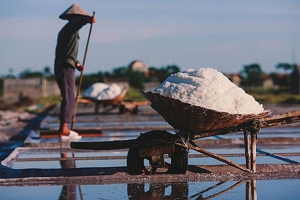khong chi co nghe nau pho tru danh nam dinh con co rat nhieu nganh nghe noi tieng ca nuoc