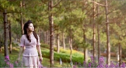 Giữa "tâm bão", bà Diệp Thảo lại lên tiếng đầy tâm trạng