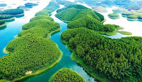 den yen bai mua da quy uong che tuyet shan xem mua xoe thai