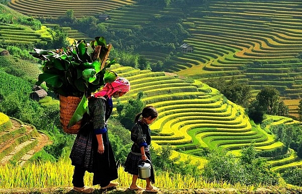 den yen bai mua da quy uong che tuyet shan xem mua xoe thai