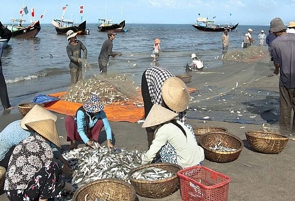 di quan lan co gi hay