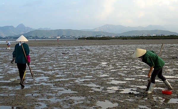 di quan lan co gi hay