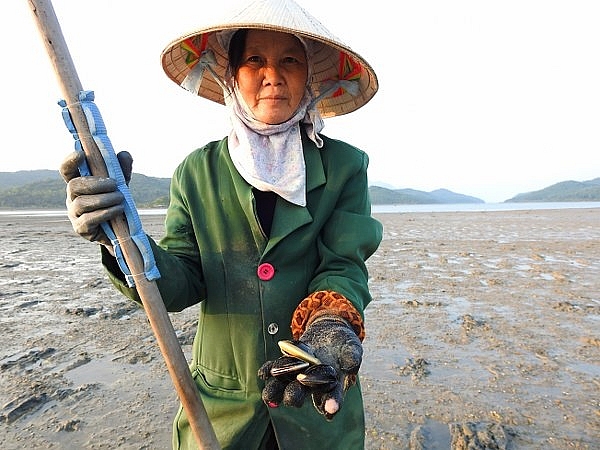 di quan lan co gi hay