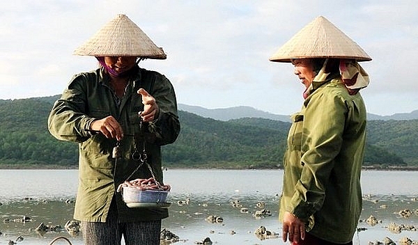 di quan lan co gi hay