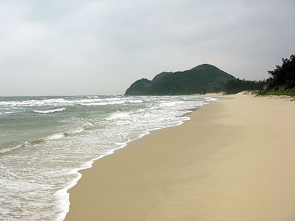di quan lan co gi hay