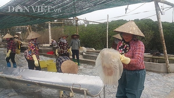 nam dinh san vang trang noi lap ven bo bien kiem chuc trieungay
