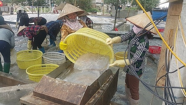 nam dinh san vang trang noi lap ven bo bien kiem chuc trieungay