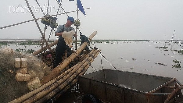 nam dinh san vang trang noi lap ven bo bien kiem chuc trieungay