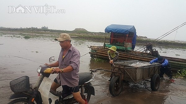 nam dinh san vang trang noi lap ven bo bien kiem chuc trieungay