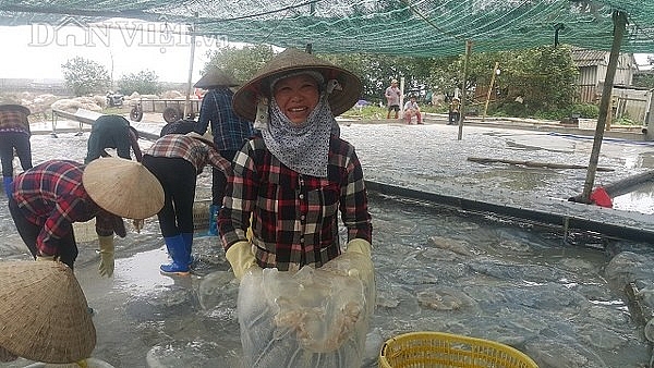 nam dinh san vang trang noi lap ven bo bien kiem chuc trieungay