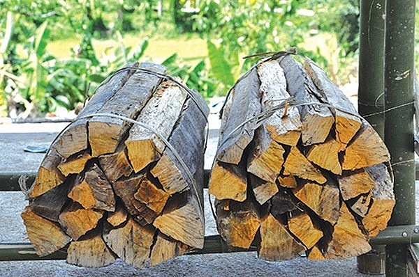 kham pha phong tuc cuoi hoi doc dao cua nguoi bhnong o quang nam