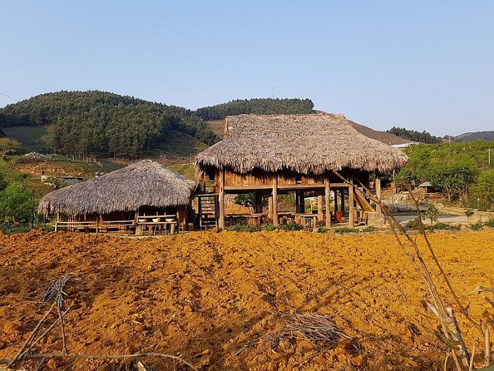 nguoi mong o tay bac da biet cach lam du lich homestay