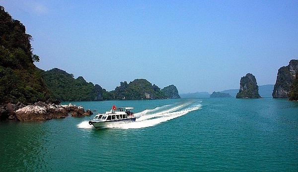viet nam co bao nhieu huyen dao