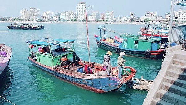 dan buc xuc du khach ngac nhien khi ve tau ra dao co to tang cao