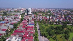 cac diem cuc cua viet nam nam o cac tinh nao