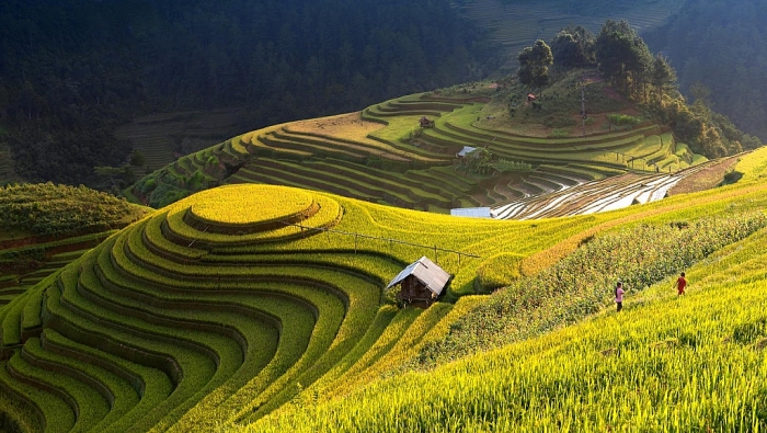 tay bac bo cua nuoc ta gom bao nhieu tinh