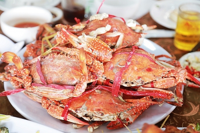 chiem nguong ve dep cua bai bien tru tinh tra co quang ninh
