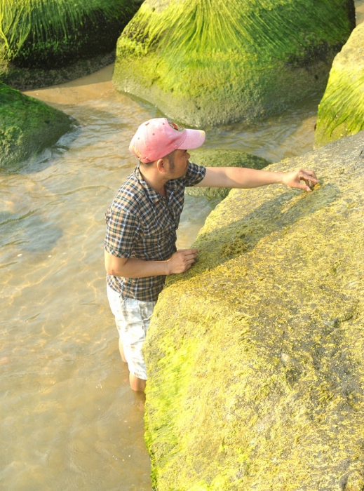 ky la loai rau lan tan song danh am am van xanh dan mao hiem san