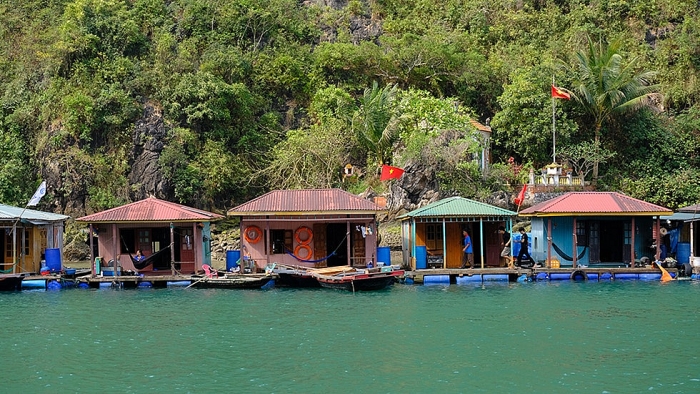 Khám phá "bảo tàng" nổi trên vịnh Hạ Long kham pha bao tang noi tren vinh ha long