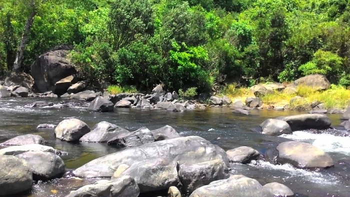 phu yen say long du khach voi ve nen tho va hung vi