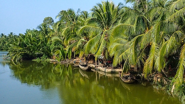 vung nao cua viet nam rong lon nhat