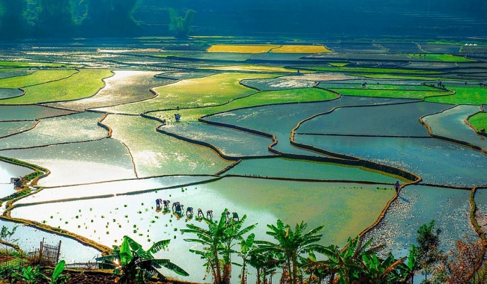 thanh pho truc thuoc trung uong nao hien dong dan nhat viet nam