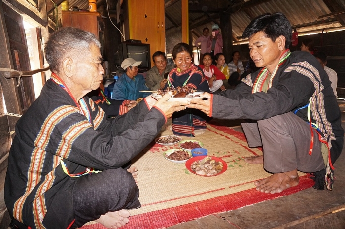 dan toc ban dia nao co dan so dong nhat tay nguyen