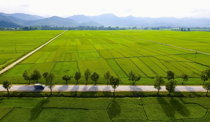 dien bien noi luu giu di tich lich su cua tran danh hao hung