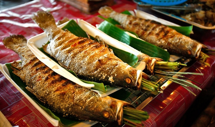 noi con song da chay vao dat viet thuoc tinh nao