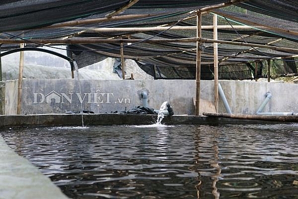 trai ha thanh bo nghe giao vien ben duyen voi ca ten lua