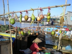 Huyện có tên gọi trùng với tên cù lao nằm ở tỉnh nào?