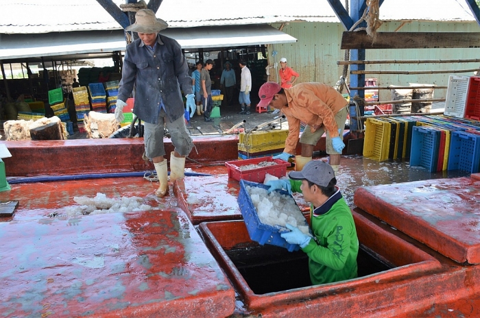 ca mau ky cong danh bat hong phoi ca be ti ban sang tay