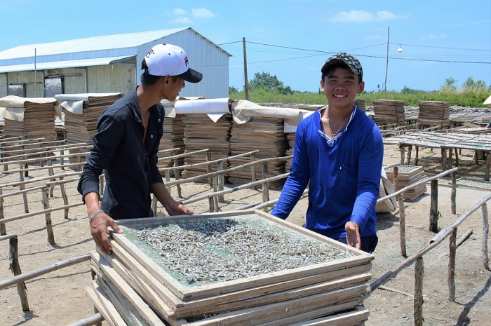 ca mau ky cong danh bat hong phoi ca be ti ban sang tay