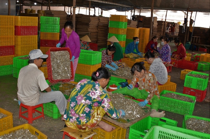 ca mau ky cong danh bat hong phoi ca be ti ban sang tay
