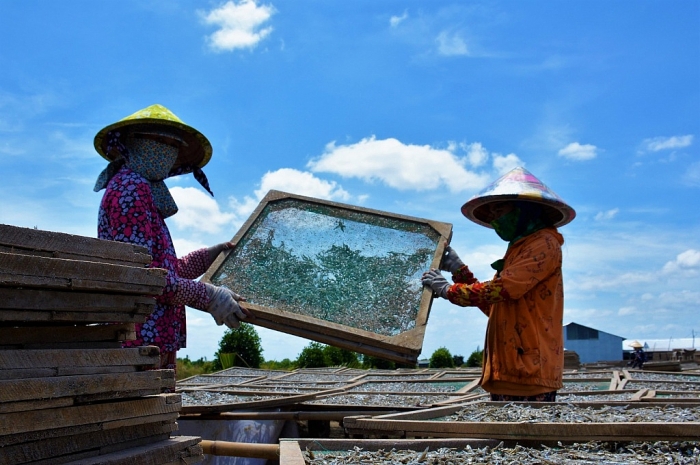 ca mau ky cong danh bat hong phoi ca be ti ban sang tay