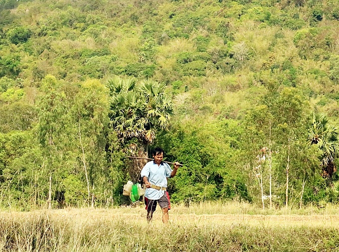 kiem tien trieu tu nghe treo cay ky la 20 nam moi ra trai o an giang