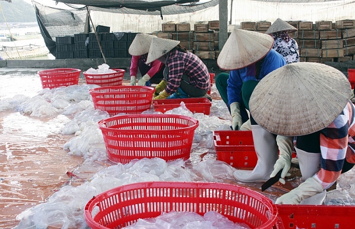 ly ky nghe vot vang trang ban dem noi len mat bien o co to