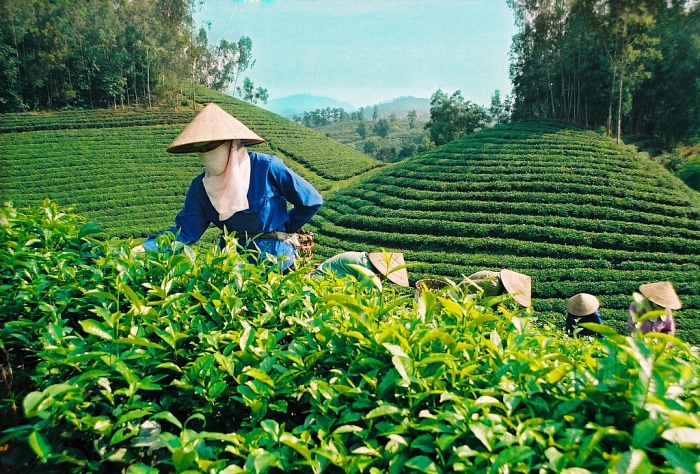 ho nui coc nam o tinh nao cua viet nam
