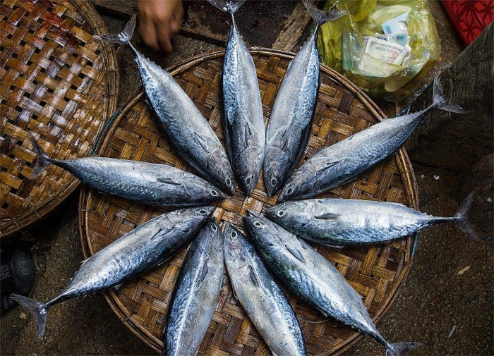 Có một Quy Nhơn yên bình trong bài viết của phóng viên nước ngoài co mot quy nhon yen binh trong bai viet cua phong vien nuoc ngoai