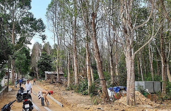 kien giang kham pha vuon cay cho bau vat tram huong o phu quoc