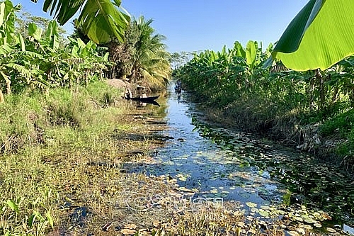 de p la lu ng hoa su ng mu a ha n nong dan u minh co thu nha p kha