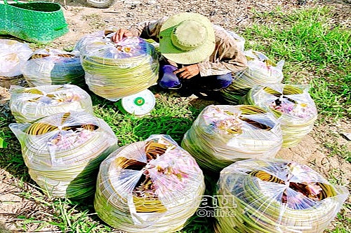 de p la lu ng hoa su ng mu a ha n nong dan u minh co thu nha p kha