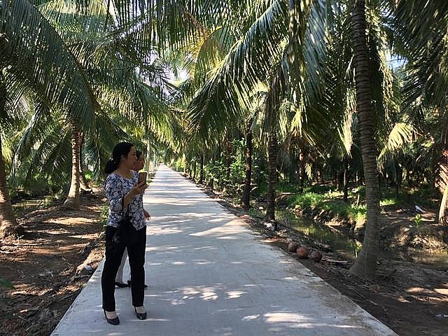 thac sy bo viec nha nuoc ve lam giau kieu con tom doi om cay dua