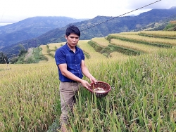giau bau vat trong rung sau vung dat ngheo gio co nhieu ty phu