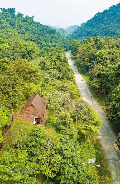 co do hoa lu thuoc tinh nao