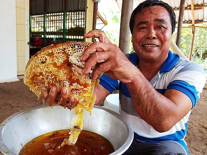 kien giang da mat phat them truoc nhung tang mat ong rung u minh