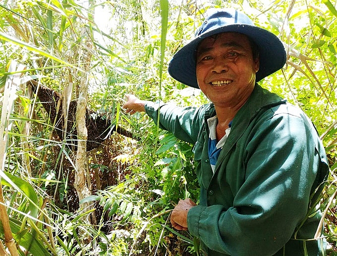 kien giang da mat phat them truoc nhung tang mat ong rung u minh
