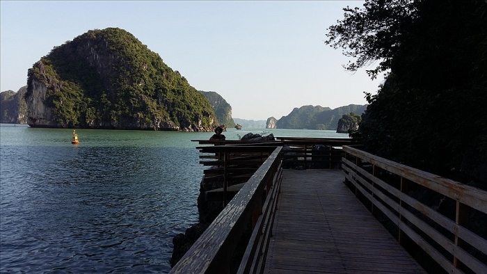 dep me hon dao hoa sim tim giua vinh ha long